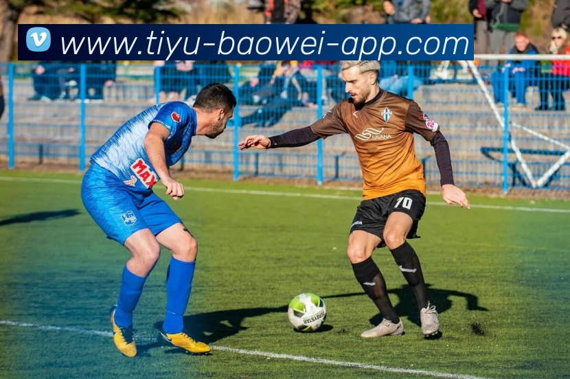 宝威体育平台生态图