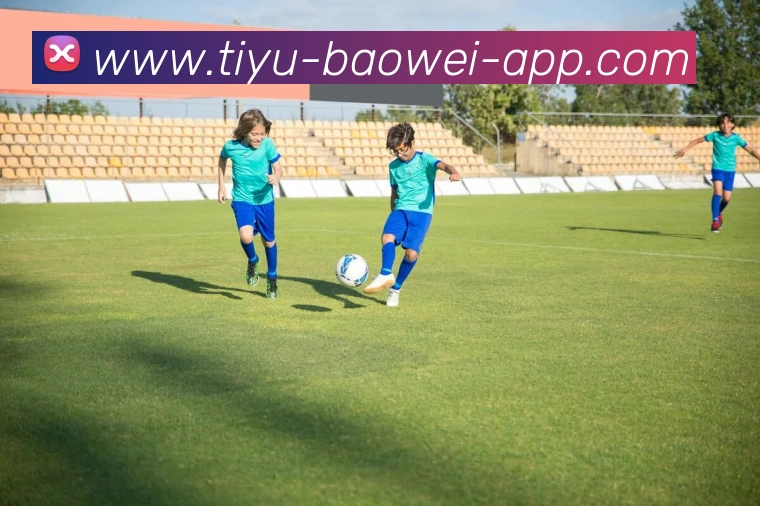 宝威体育全站App